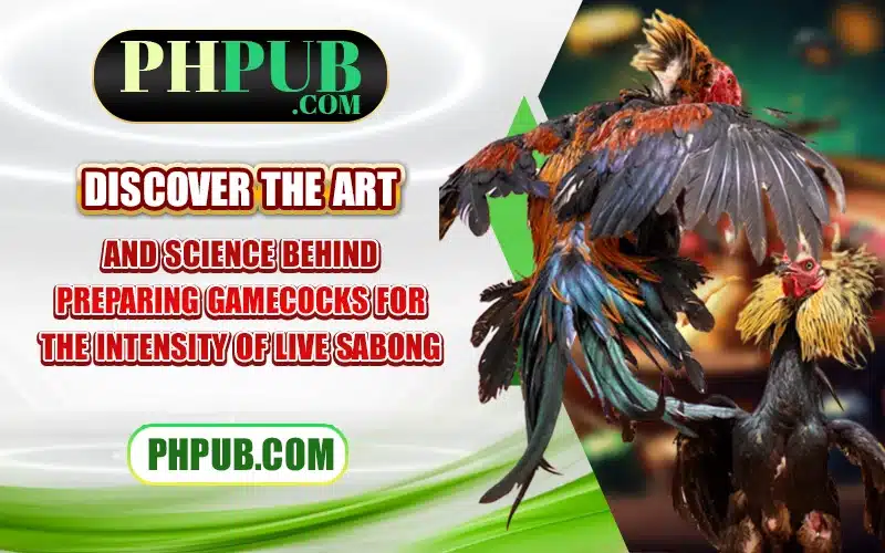 Discover the art and science behind preparing gamecocks for the intensity of live Sabong