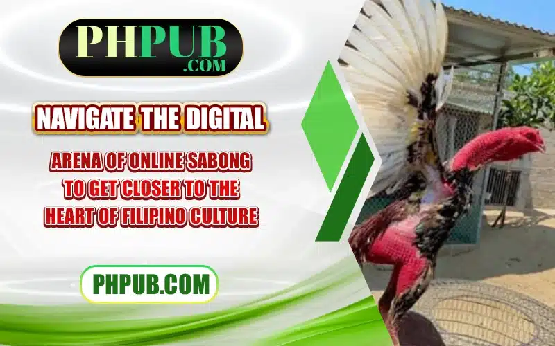 Navigate the digital arena of Online Sabong to get closer to the heart of Filipino culture